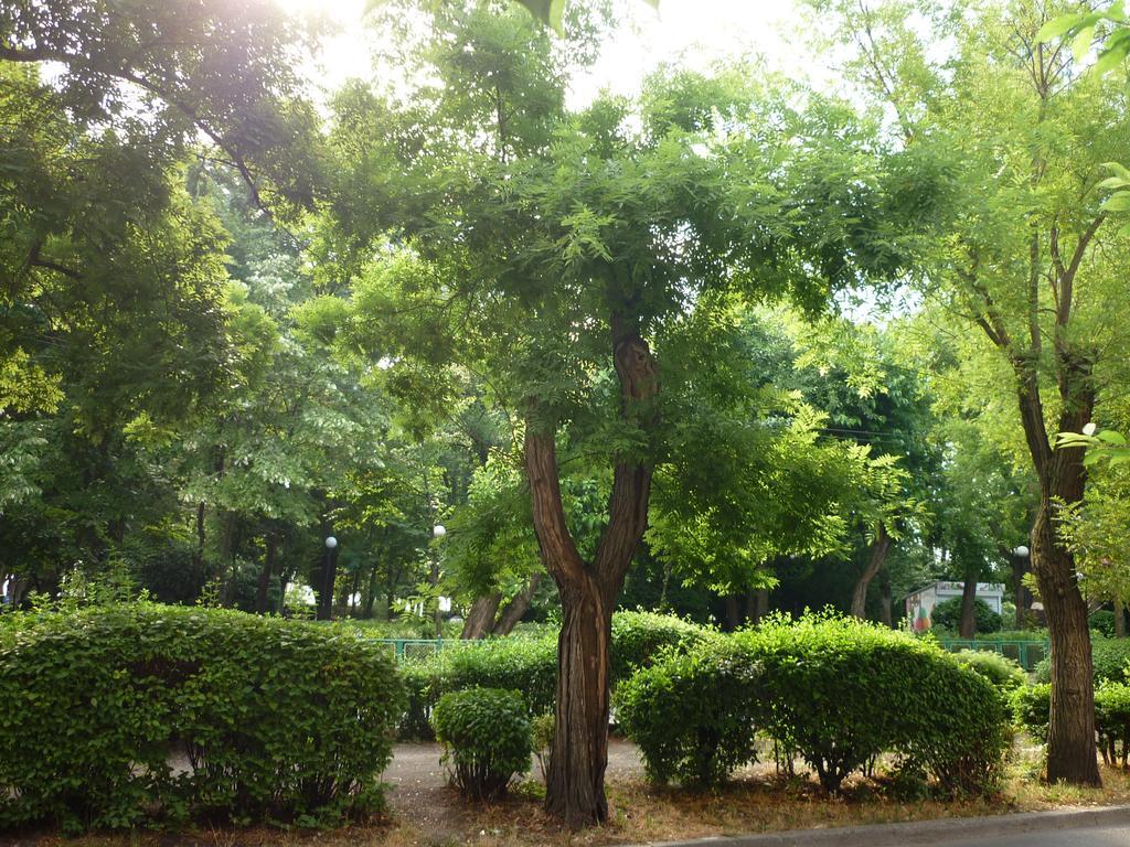 Sea Garden Plaza Apartment - Free Parking Burgas Rum bild