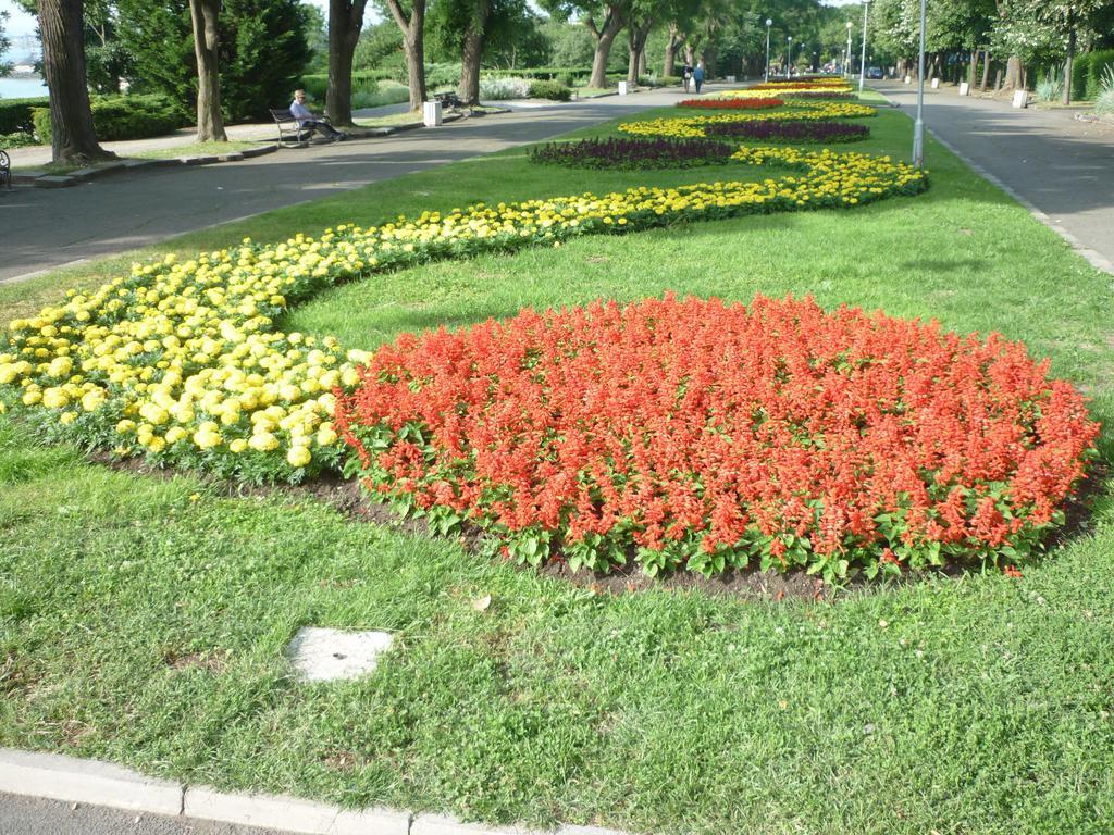 Sea Garden Plaza Apartment - Free Parking Burgas Rum bild